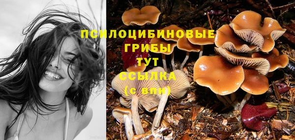 экстази Надым