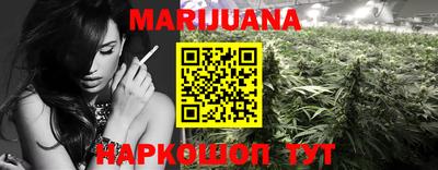 гидра Бийск