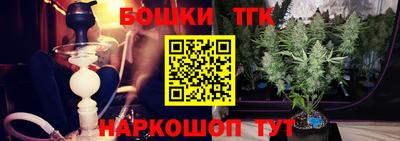 хмурый Гатчина