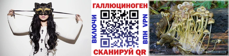 где можно купить   Избербаш  Галлюциногенные грибы Psilocybine cubensis 