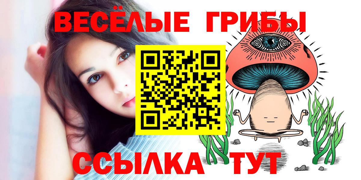 Избербаш  Галлюциногенные грибы GOLDEN TEACHER  Вход с VPN 