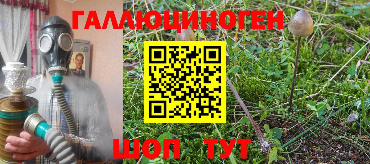 купить наркоту  Избербаш  Псилоцибиновые грибы мухоморы  Галлюциногенные грибы Magic Shrooms 
